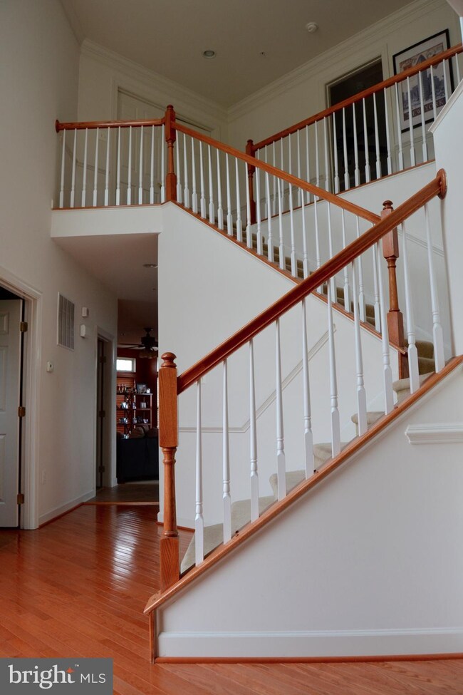 13905 Glenlivet Grove, Laurel, MD 20707 - photo 3