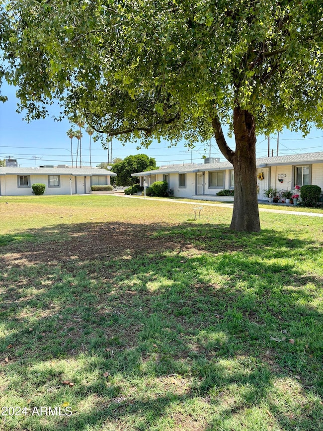 Lovely common area yard