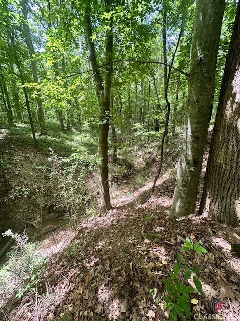 0 Roosevelt Cir unit 1017485, Bowman, GA 30635 - photo 6