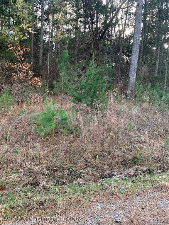 Wooded 5 acres