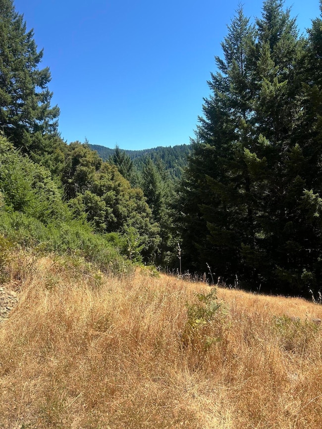 5972 Panther Gap Rd, Honeydew, CA 95545 - photo 2