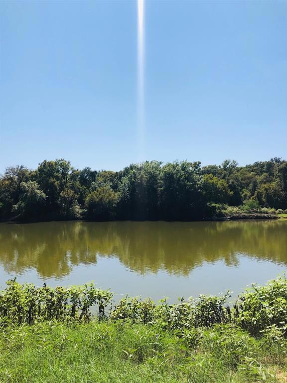 263 Chavez Trail, Weatherford, TX 76087 - photo 5