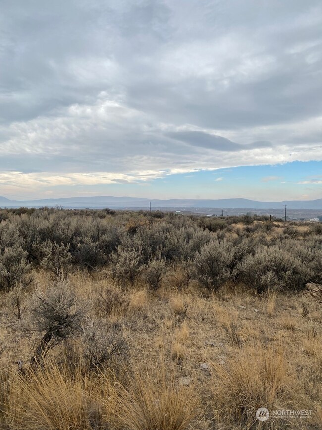 4915 W Coyote Trail, Ephrata, WA 98823 - photo 5