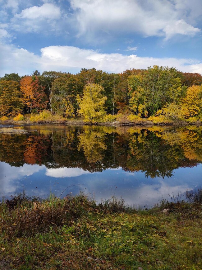 00 Middle River Rd, Greenbush, ME 04418 - photo 4