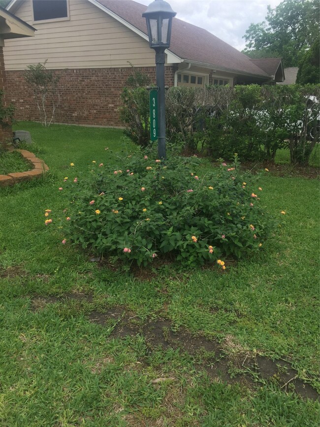 3809 Avenue P, Rosenberg, TX 77471 - photo 2