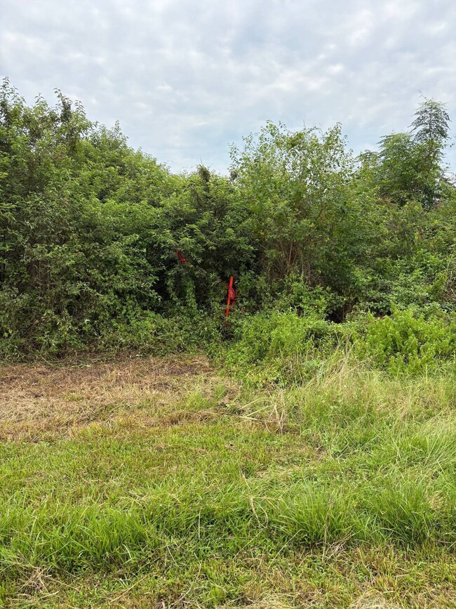 3500 Blk N Riceland Rd unit Tracts A/B, Rayne, LA 70578 - photo 5