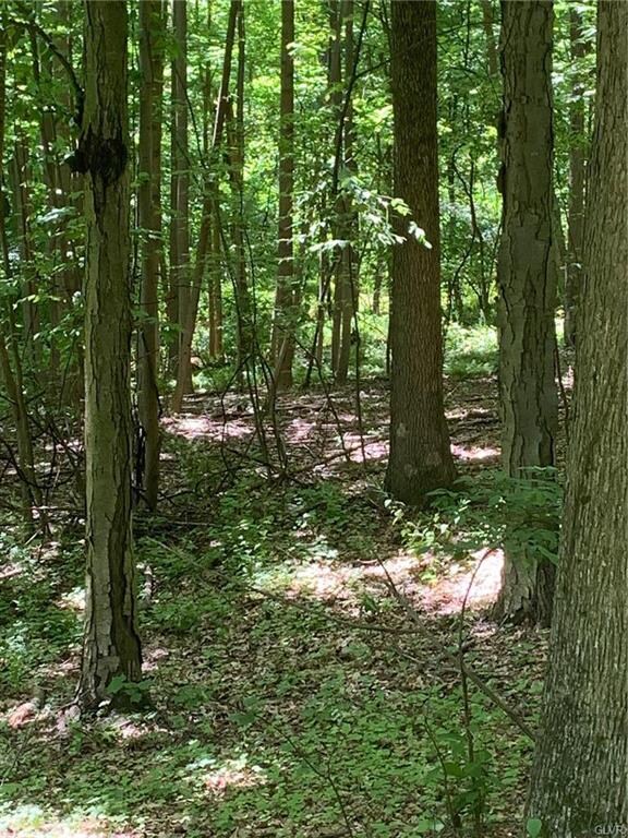 0 Elizabeth Ave unit 639246, Temple, PA 19560 - photo 5