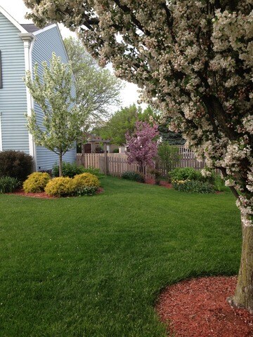 1219 Springdale Cir, Naperville, IL 60564 - photo 4