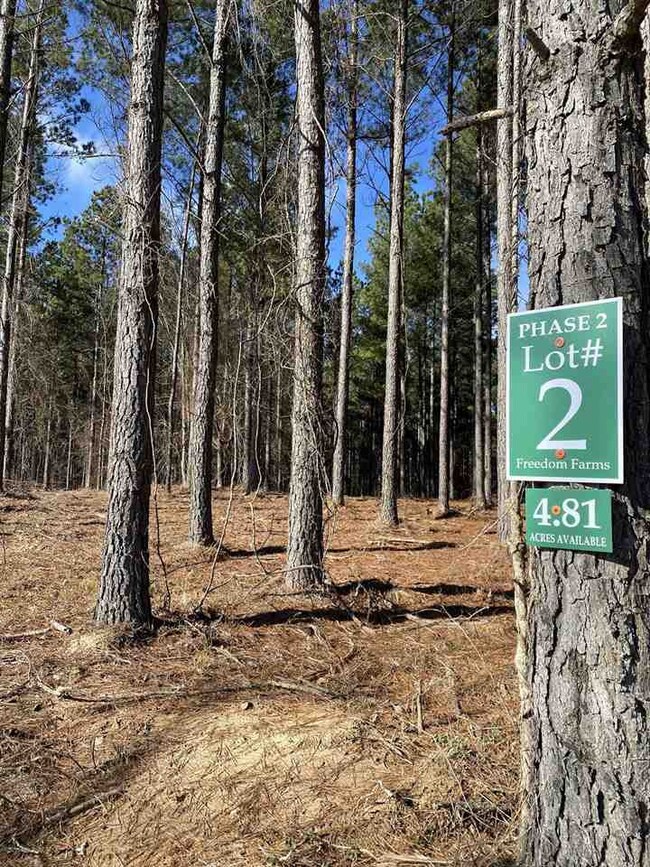 651 Stull Rd unit 2, Brandon, MS 39047 - photo 2