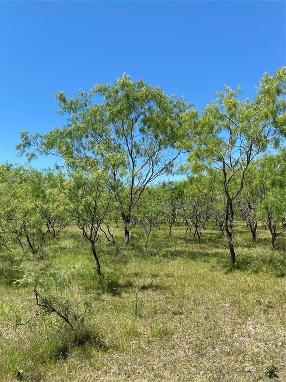 Lot 10 TBD Fm 1181, Ennis, TX 75119 - photo 2