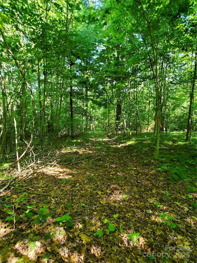 00 Staton Ridge Rd, Saluda, NC 28773 - photo 2