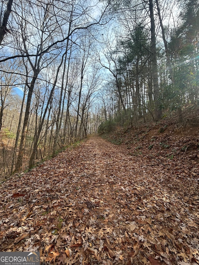 0 Amaryllis Ln unit 10647717, Tiger, GA 30576 - photo 3