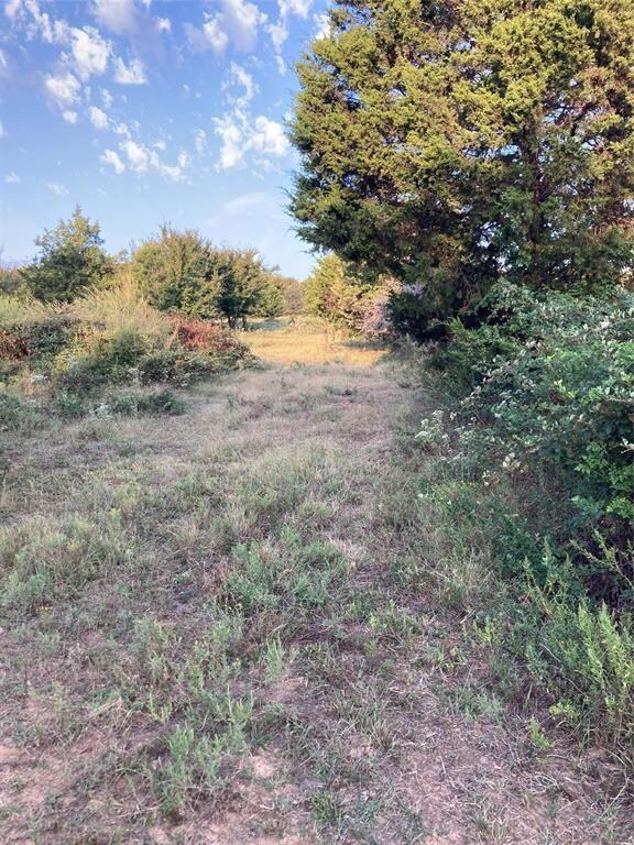 CR 113 County Road 113, Whitesboro, TX 76273 - photo 5