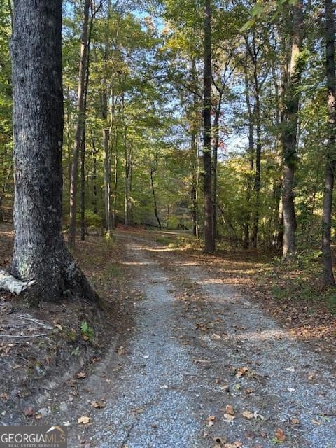 2750 Browning Rd, Rockmart, GA 30153 - photo 4