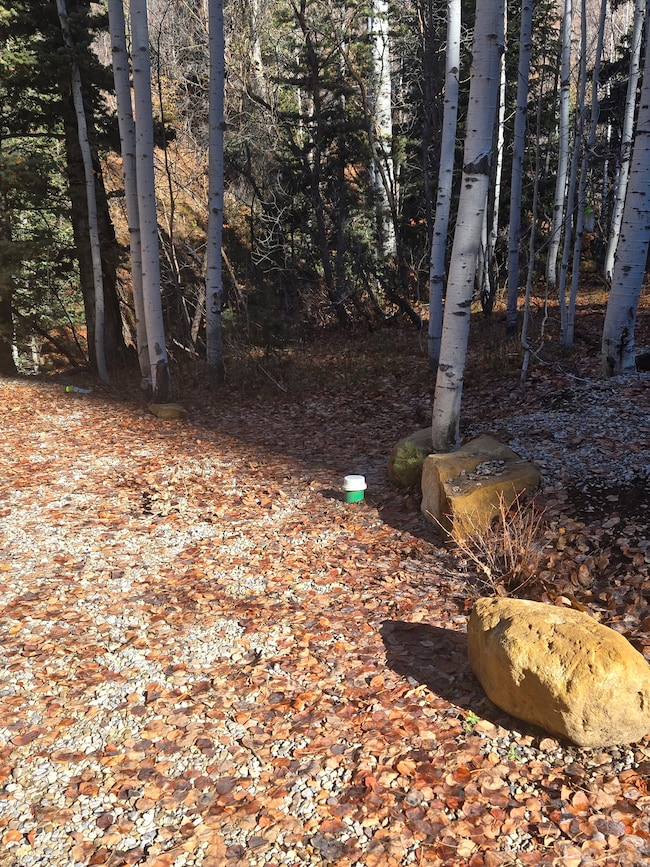 827 E North Fork Rd S unit 827, Fairview, UT 84629 - photo 5