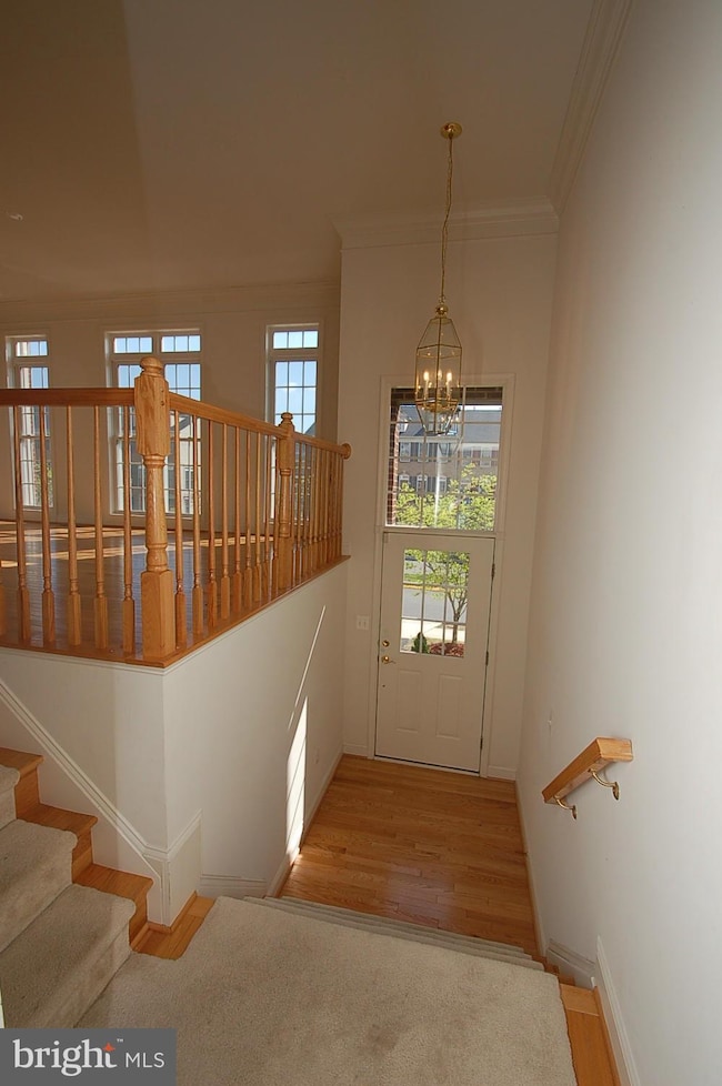 25872 Commons Square, Chantilly, VA 20152 - photo 2