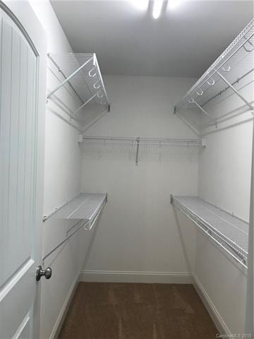 Large master walk-in closet