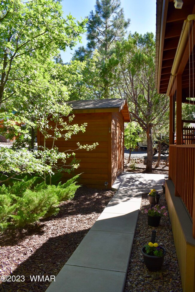 Sidewalk leading to shed & back door