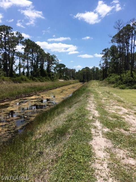 canal behind lot