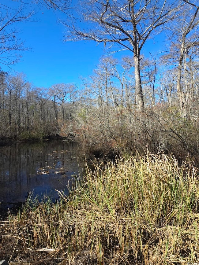 View of landscape featuring a water view