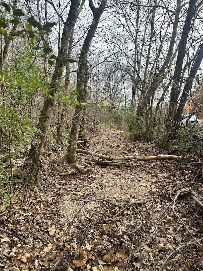 210 Trotter Rd, Waverly, TN 37185 - photo 7