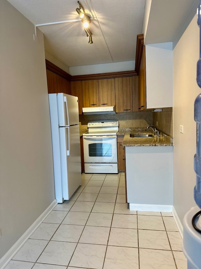 5125 Blodgett Ave unit 418T, Downers Grove, IL 60515 - photo 4