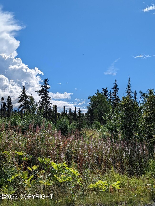 65993 Junction Ave, Anchor Point, AK 99556 - photo 6