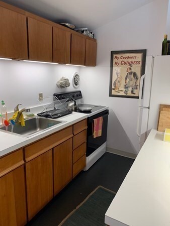 150 W Concord St unit 1, Boston, MA 02118 - photo 3