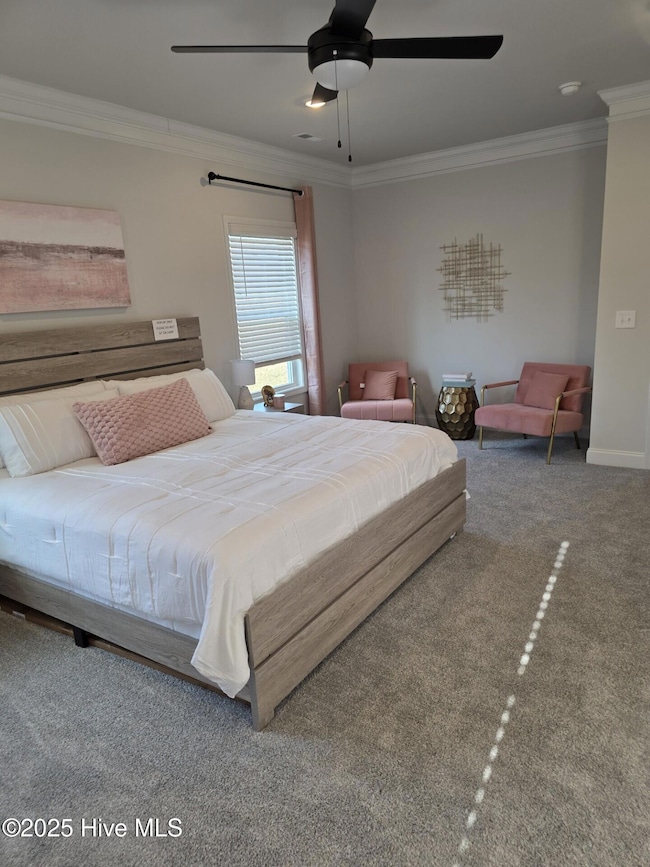 194 Poker House Rd, Grimesland, NC 27837 - photo 3