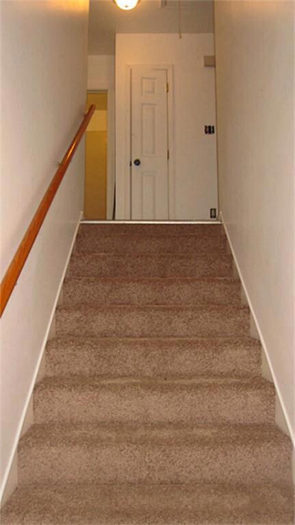 3519 Rychlik Dr, Rosenberg, TX 77471 - photo 5