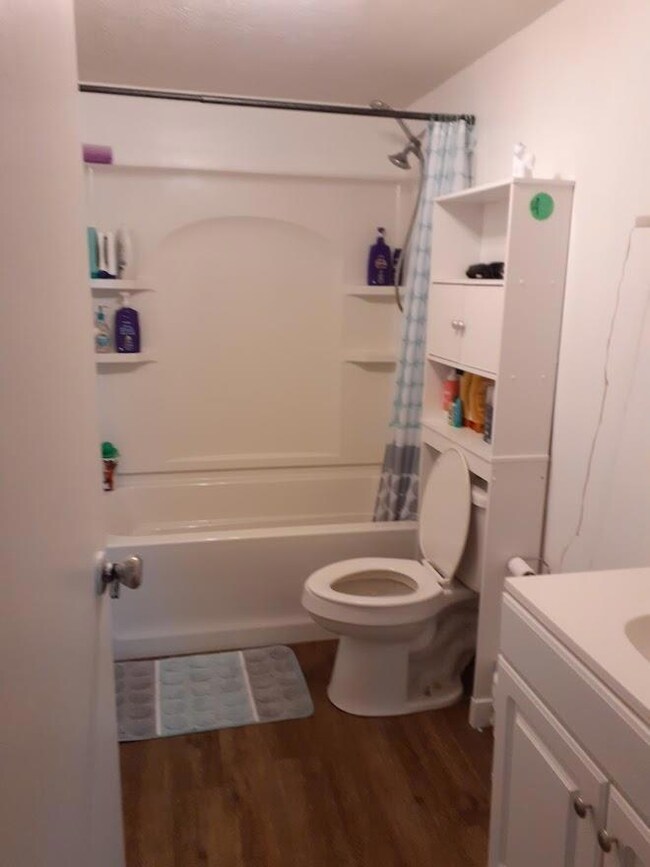 241 S Sycamore St, Hanover, IN 47243 - photo 4