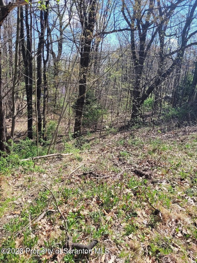 421 Center St, Scranton, PA 18508 - photo 4