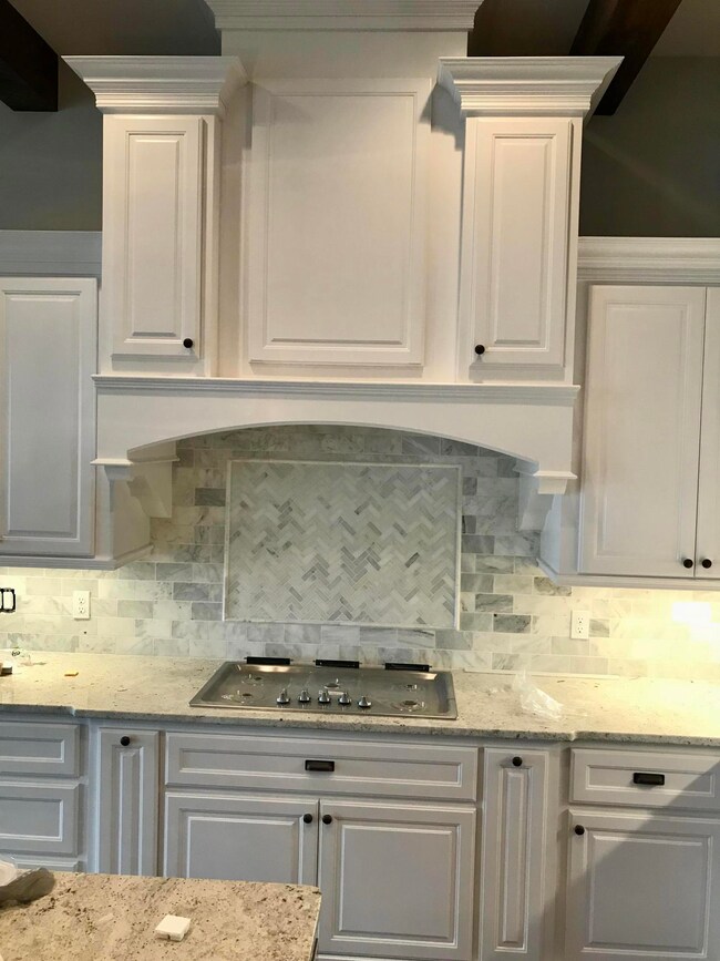 860 E Edenmore Cir, Nixa, MO 65714 - photo 4