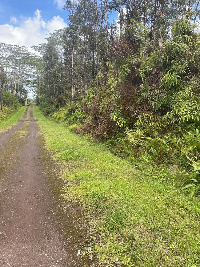 0 Molokai Rd unit 709658, Pahoa, HI 96778 - photo 6