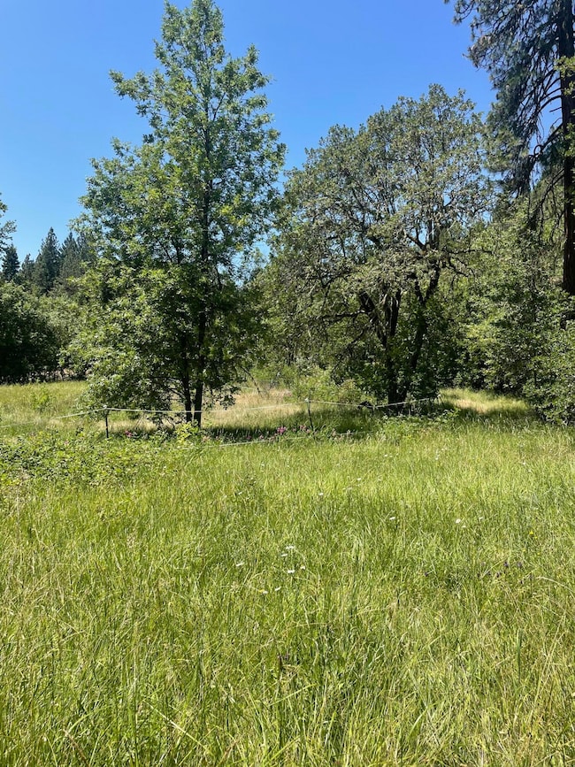 826 Ulrich Rd, Prospect, OR 97536 - photo 4