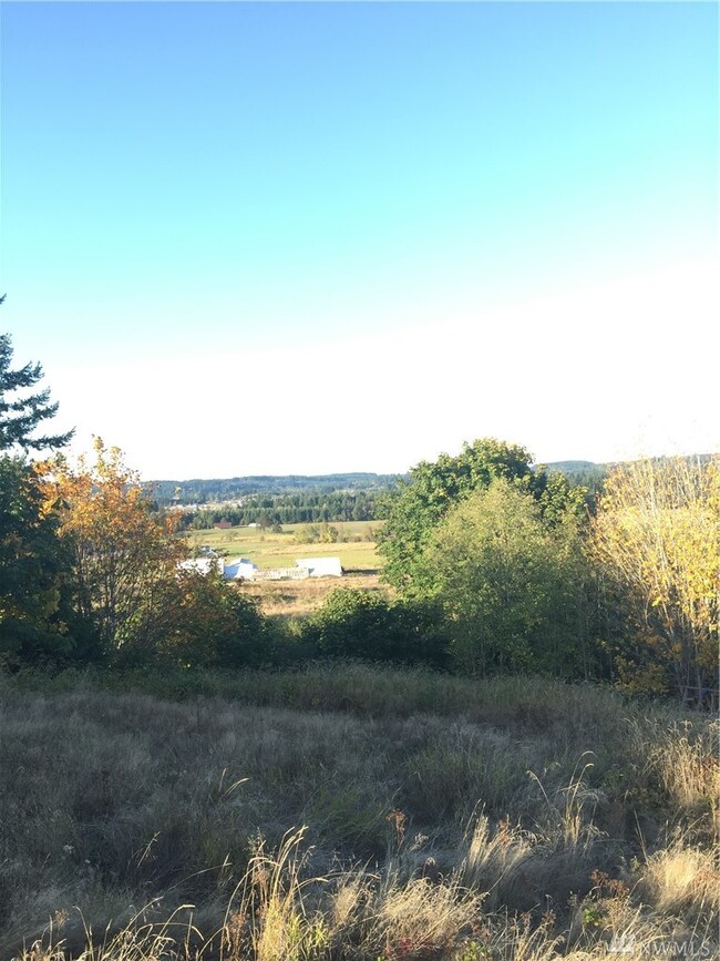 0 Mitchell unit 1208157, Napavine, WA 98565 - photo 2