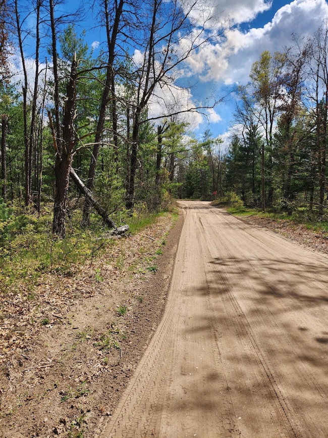 8950 Chatman St, Pleasant Plains Township, MI 49642 - photo 2