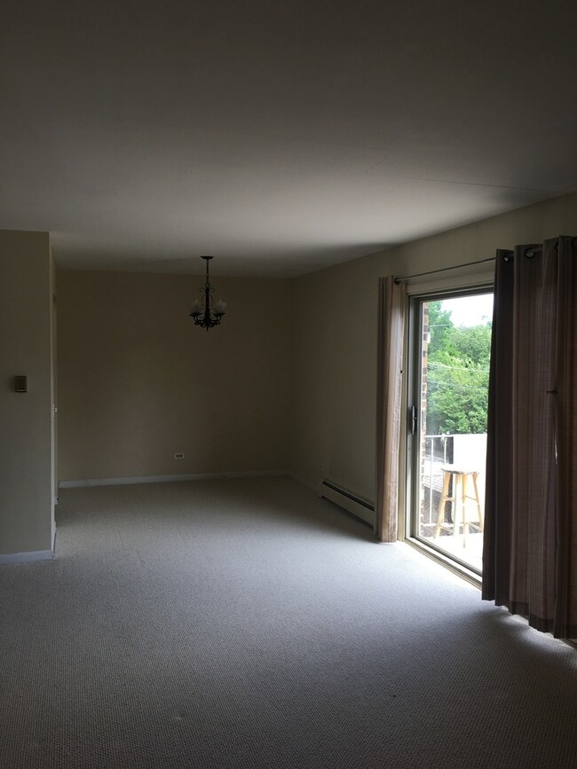 1611 Ashland Ave unit 303, Des Plaines, IL 60016 - photo 3