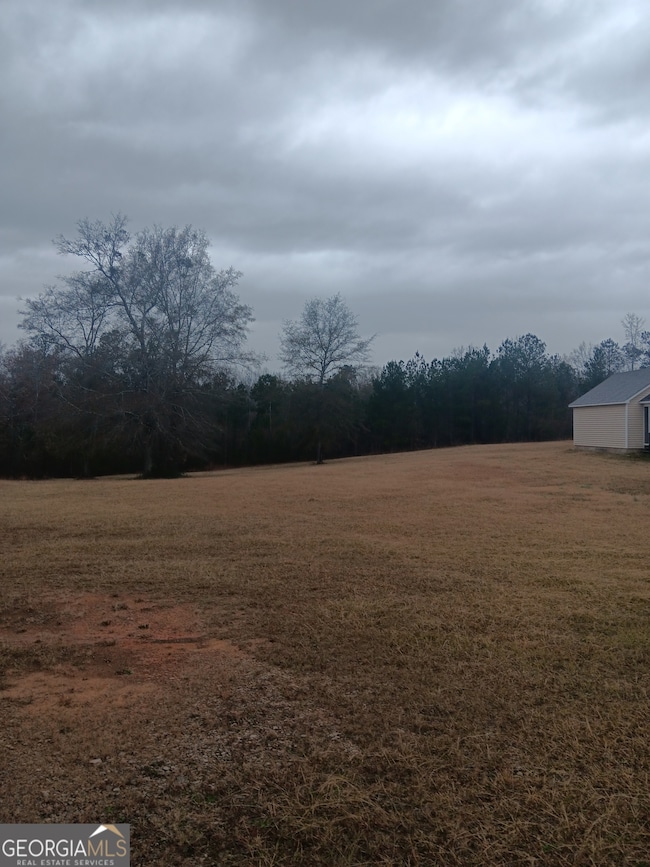 9430 Ga Highway 16, Sparta, GA 31087 - photo 7