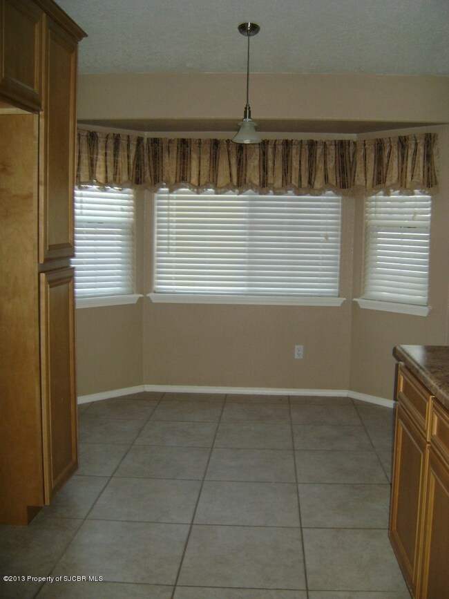 3929 Rochester Ave, Farmington, NM 87402 - photo 7