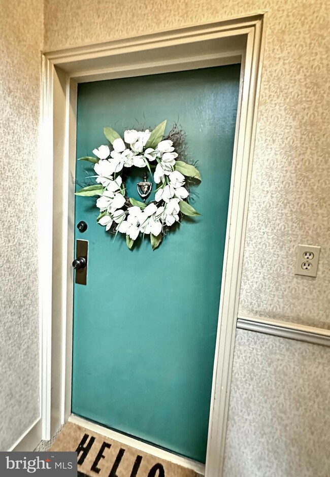 3033 S Columbus St unit B1, Arlington, VA 22206 - photo 5