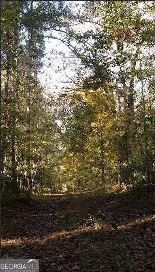 1047 Ponder Trammell Rd, Juliette, GA 31046 - photo 3