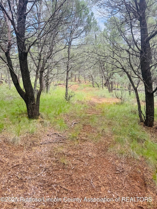 - Johnnys Dr, Timberon, NM 88350 - photo 2