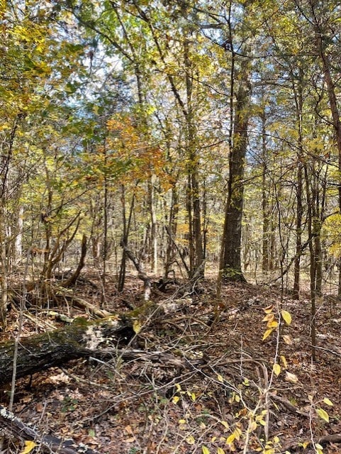 0 Old Nashville Dirt Rd, Shelbyville, TN 37160 - photo 7