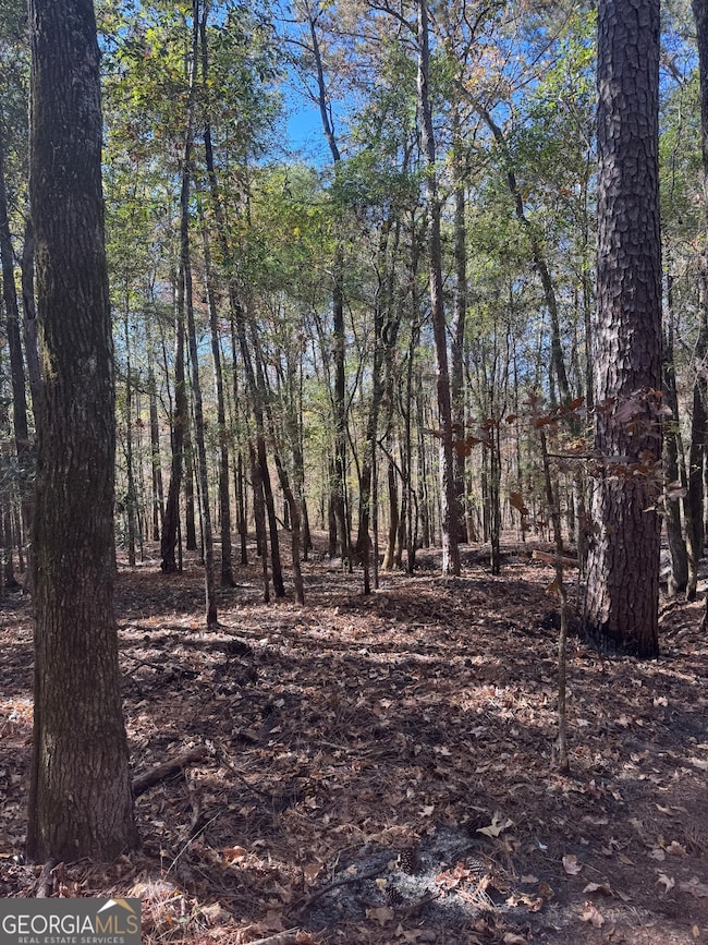 157 W Drummond Rd, West Point, GA 31833 - photo 2