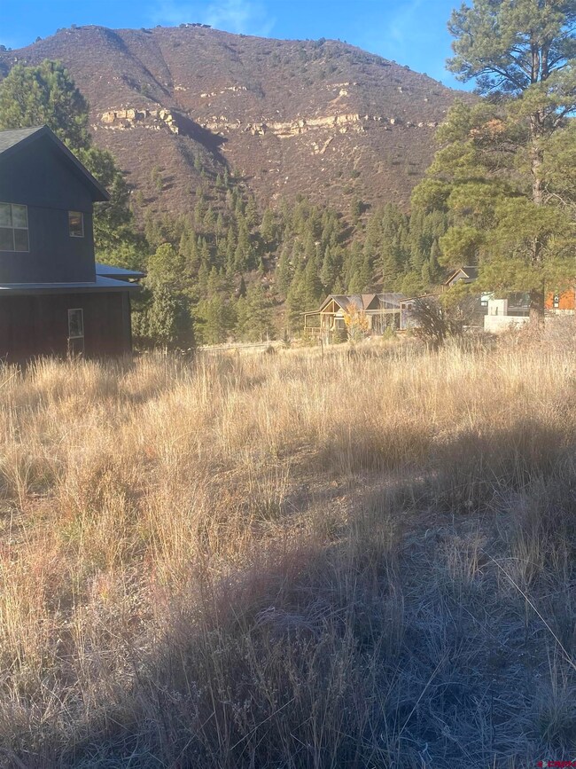 57 Wild Iris, Durango, CO 81301 - photo 5