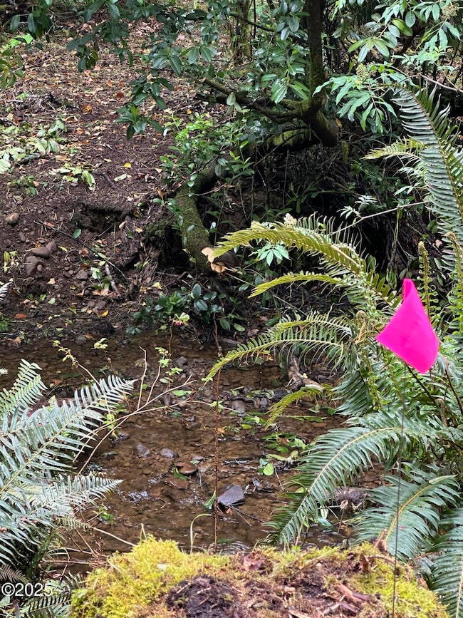 Risley Creek