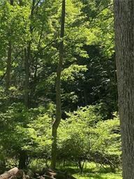 0 Good Rd unit 703606, Lower Mount Bethel Township, PA 18013 - photo 3