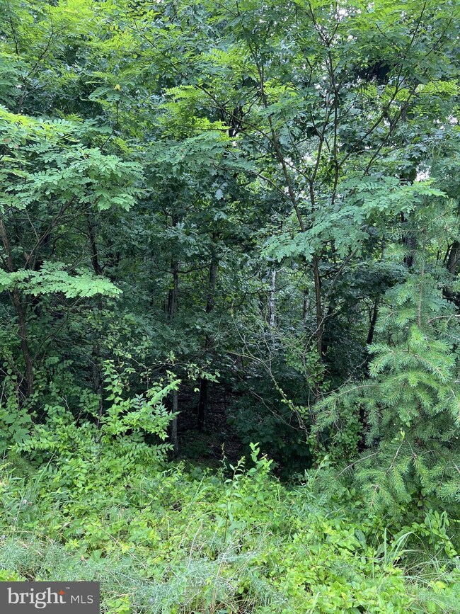 LOT 19 Fable Rd, Hedgesville, WV 25427 - photo 7