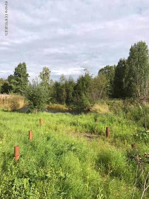 11132 Little Rd, Trapper Creek, AK 99683 - photo 4